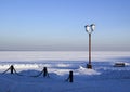 Snowy pier of Onego lake in Russia Royalty Free Stock Photo