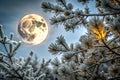Snowy pine branches framing a full moon at night Royalty Free Stock Photo