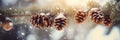 Snowy Pine Cones On Fir Branch Banner