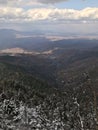 Snowy pine forest of mountain Falaza.