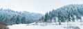 Snowy pine forest panorama at High Tatra mountains, Slovakia Royalty Free Stock Photo