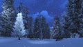 Snowy pine forest at snowfall night