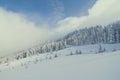 Snowy pine trees on mountain slope landscape photo Royalty Free Stock Photo