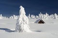 Snowy Plain with a Snowbound Hut