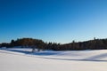 Snowy plain with pine trees and ski tracks