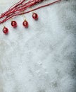 Snowy plate, Christmas decorations Royalty Free Stock Photo