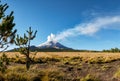 Snowy Popocatepetl volcano seen from the Izta-Popo Royalty Free Stock Photo