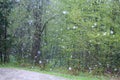 Snowy, rain, weather, bad, snow, winter, storm, hail Royalty Free Stock Photo