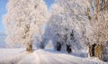 Snowy road Royalty Free Stock Photo