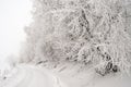 Snowy road Royalty Free Stock Photo