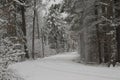 Snowy Road