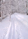 Snowy road Royalty Free Stock Photo