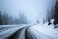 Snowy Road