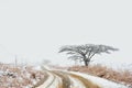 Snowy road in countryside