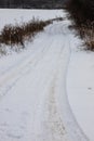 Snowy road in a field leading to pine forest. Winter road to nowhere in sunny day, snow-covered fresh car track. Car Royalty Free Stock Photo