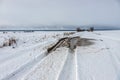 Snowy road in a field leading to pine forest. Winter road to nowhere in sunny day, snow-covered fresh car track. Car Royalty Free Stock Photo