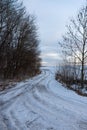 Snowy road in a field leading to pine forest. Winter road to nowhere in sunny day, snow-covered fresh car track. Car Royalty Free Stock Photo