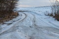 Snowy road in a field leading to pine forest. Winter road to nowhere in sunny day, snow-covered fresh car track. Car Royalty Free Stock Photo