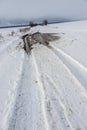 Snowy road in a field leading to pine forest. Winter road to nowhere in sunny day, snow-covered fresh car track. Car Royalty Free Stock Photo