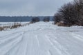 Snowy road in a field leading to pine forest. Winter road to nowhere in sunny day, snow-covered fresh car track. Car