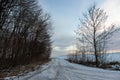 Snowy road in a field leading to pine forest. Winter road to nowhere in sunny day, snow-covered fresh car track. Car Royalty Free Stock Photo