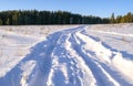 Snowy road in a field leading to pine forest. Winter road to nowhere in sunny day