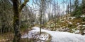 Snowy road in forest on Mount Floyen, Bergen, Norway, Scandinavia.