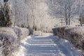 Snowy road in the forest for skiers Royalty Free Stock Photo