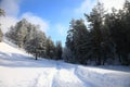 Snowy Road