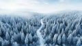 Snowy road in forest in winter, aerial perspective view. Landscape of woods with snow, white path and frozen trees. Concept of