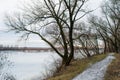 Snowy road near dark winter forest close to melting river Royalty Free Stock Photo