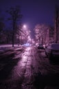 Snowy road in the night city with snowfall. Winter trees.