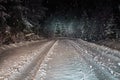 Snowy road at night in the forest, spruce and trees under the snow, winter night Royalty Free Stock Photo