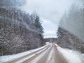 Snowy road surrounded by pine trees Royalty Free Stock Photo