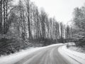 Snowy road surrounded by pine trees Royalty Free Stock Photo