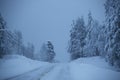 Snowy road surrounded by pine trees Royalty Free Stock Photo