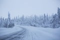 Snowy road surrounded by pine trees Royalty Free Stock Photo