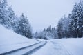 Snowy road surrounded by pine trees Royalty Free Stock Photo