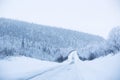 Snowy road surrounded by pine trees Royalty Free Stock Photo