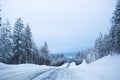 Snowy road surrounded by pine trees Royalty Free Stock Photo