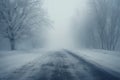 Snowy Road With Trees and Ground Covered in Snow Royalty Free Stock Photo