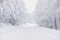 A snowy road in the mountains Royalty Free Stock Photo