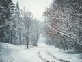 Snowy road in winter blizzard, alley from frozen trees Royalty Free Stock Photo