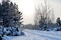 Snowy Road in Winter Forest. Awesome winter landscape. A snow-covered path among the trees in the wild forest. Forest in the snow