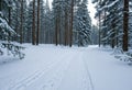 Snowy road in winter forest Royalty Free Stock Photo