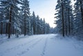 Snowy road in winter forest Royalty Free Stock Photo
