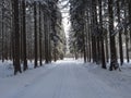 Snowy road in winter forest with snow covered spruce trees Brdy Mountains, Hills in central Czech Republic Royalty Free Stock Photo
