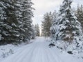 Snowy road in winter forest with snow covered spruce trees Brdy Mountains, Hills in central Czech Republic with black Royalty Free Stock Photo