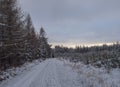 Snowy road in winter forest with snow covered spruce trees Brdy Mountains, Hills in central Czech Republic, cloudy Royalty Free Stock Photo