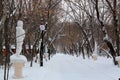 Snowy road in winter park, Christmas trees in the snow, winter walk, statues, nature,